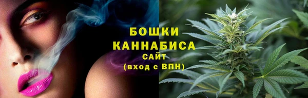 ПСИЛОЦИБИНОВЫЕ ГРИБЫ Горно-Алтайск