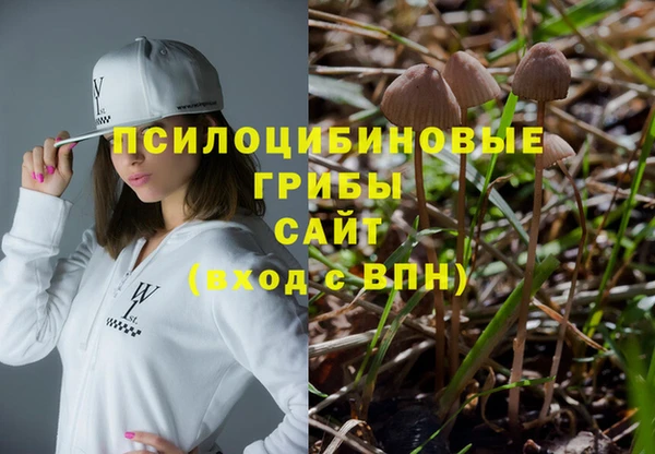 не бодяженный Горнозаводск