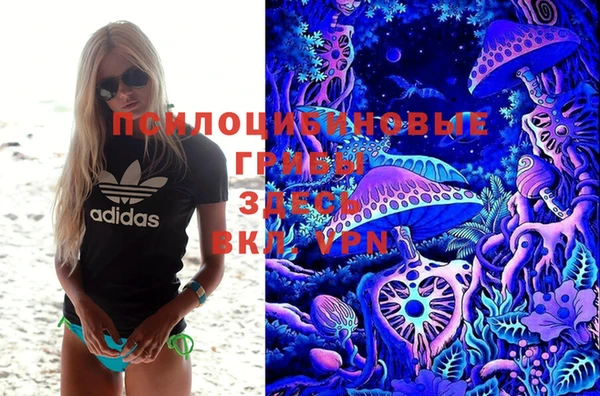 не бодяженный Горнозаводск