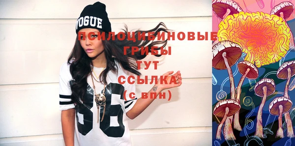 не бодяженный Горнозаводск