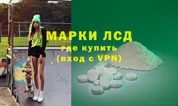 ПСИЛОЦИБИНОВЫЕ ГРИБЫ Горно-Алтайск