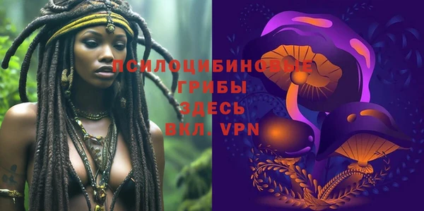 ПСИЛОЦИБИНОВЫЕ ГРИБЫ Горно-Алтайск