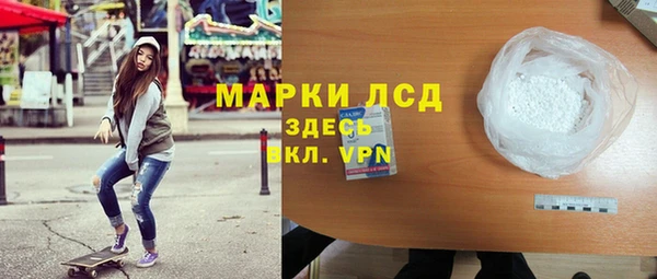 ПСИЛОЦИБИНОВЫЕ ГРИБЫ Горно-Алтайск