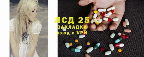 ПСИЛОЦИБИНОВЫЕ ГРИБЫ Горно-Алтайск