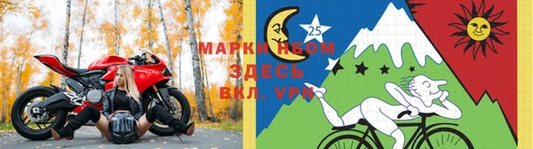 экстази Горняк