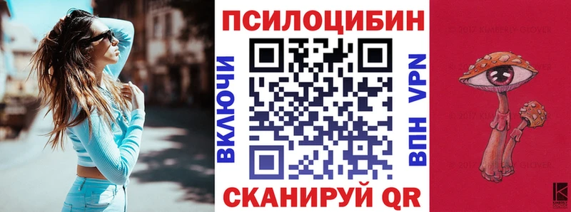 KRAKEN сайт  Новомосковск  Галлюциногенные грибы Psilocybe  закладки 